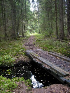 Mitt i skogen Får man tag i 112 om det händer något här?