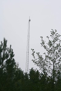 Förargelsens mast! Förargelsens mast!