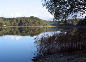Fager natur vid Vassbosjön. Fager natur vid Vassbosjön.