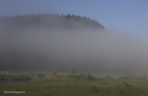 Knipen skymtar bakom morgondimman. (Foto: Kerstin Magneson ©)
