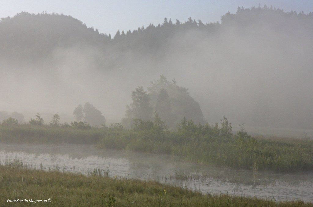 Funneshultssjön vaknar... (Foto: Kerstin Magneson ©)