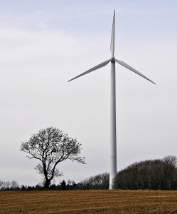 Bild Stefan Sjöö ©