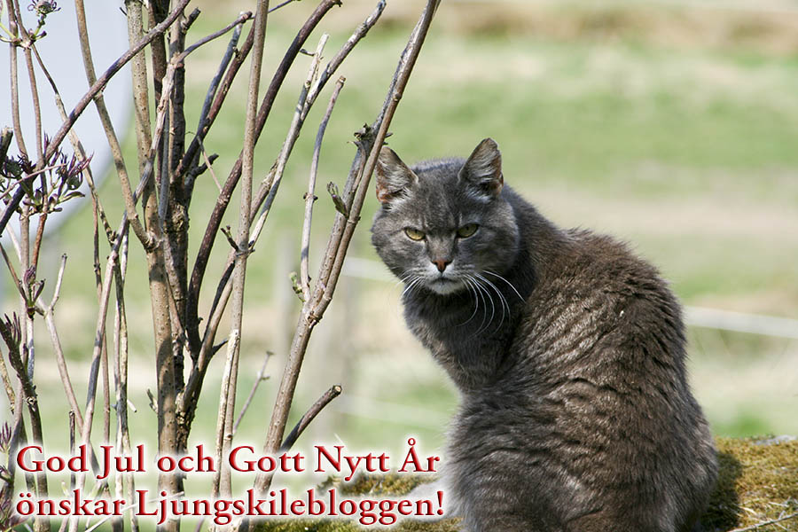 God Jul och Gott Nytt År!