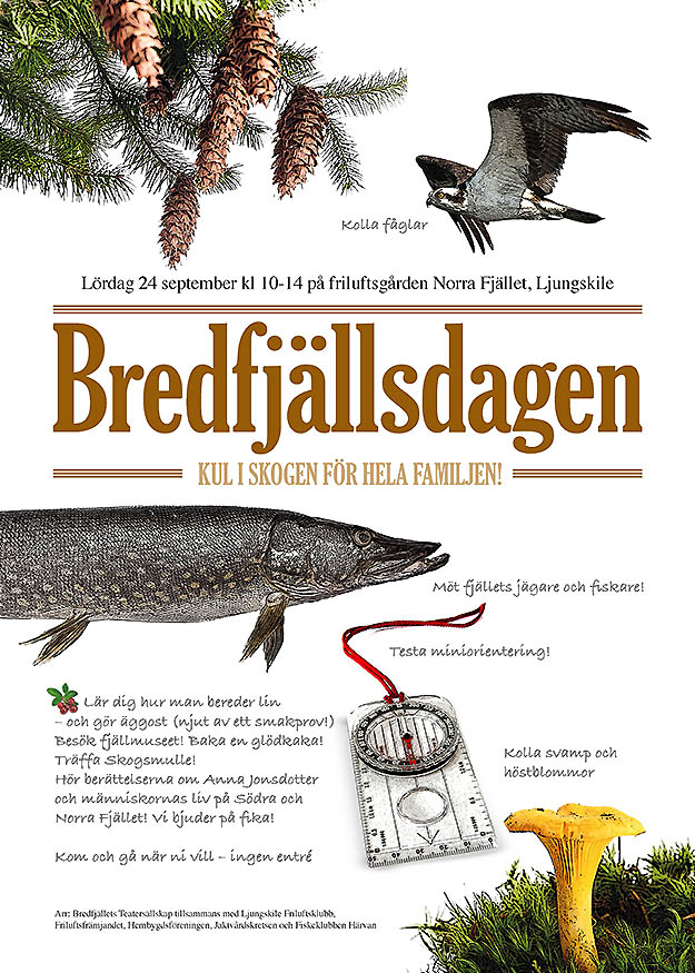 Bredfjällsdagen
